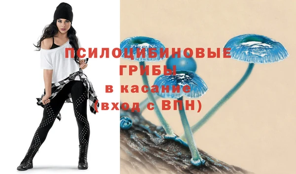 прущая мука Кулебаки