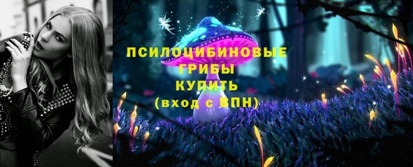 прущая мука Кулебаки
