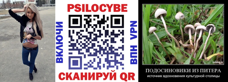 Галлюциногенные грибы ЛСД  Дмитриев 